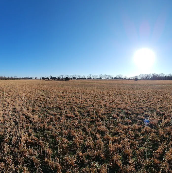 Rodgers' Family Farm Camping Picture 3