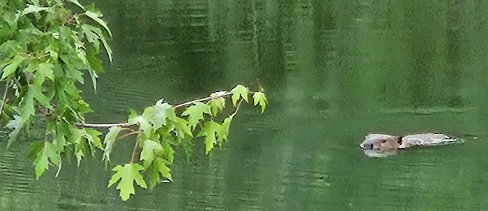 Baker Ford Picture 5