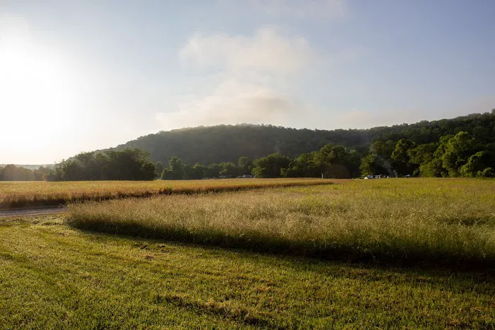 Woolum Campground Picture 8