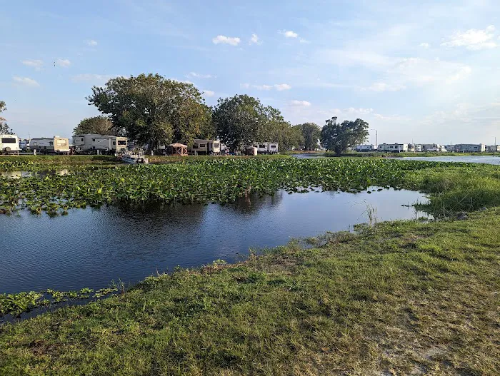 Torry Island Campground Picture 8