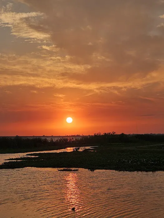 Torry Island Campground Picture 7