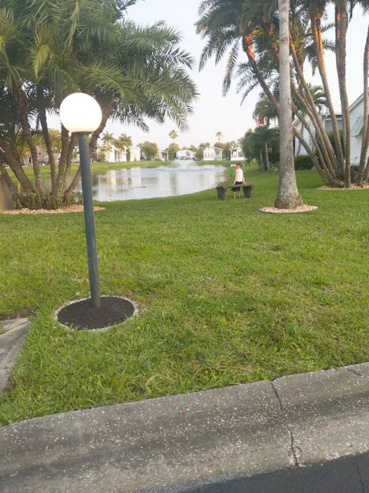 Camping juno beach Picture 3