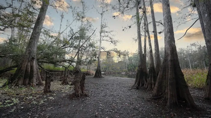 Fisheating Creek Picture 8