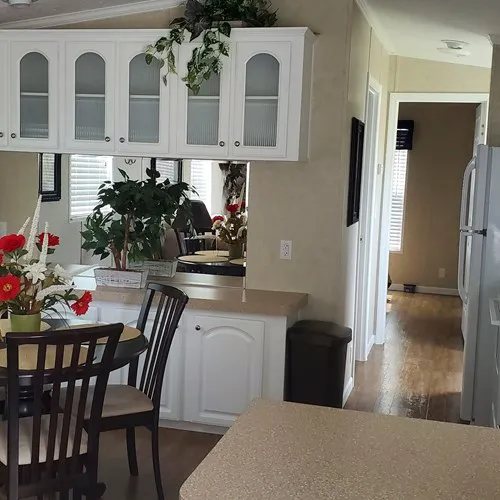 Moore Haven KOA Picture 5