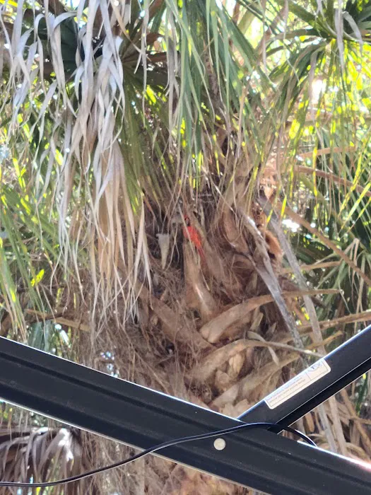 FLYING A CAMPGROUND, SITE 1 Picture 4