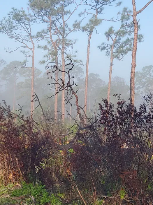 FLYING A CAMPGROUND, SITE 1 Picture 5