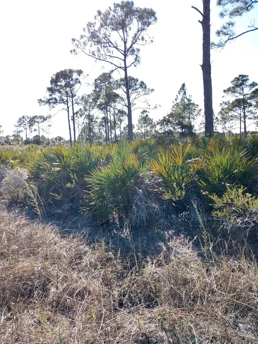 FLYING A CAMPGROUND, SITE 1 Picture 9