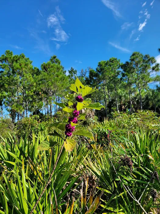 FLYING A CAMPGROUND, SITE 1 Picture 1