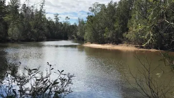 Bluff Creek Campground Picture 8