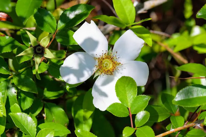 Jackson County RV Park Picture 5