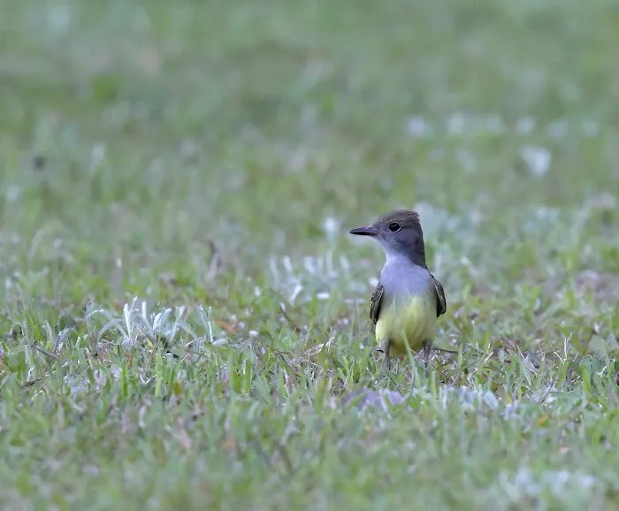 Jackson County RV Park Picture 7