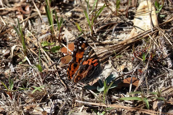 Jackson County RV Park Picture 9