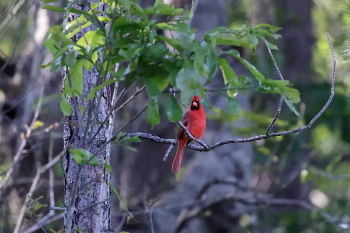 Jackson County RV Park Picture 4