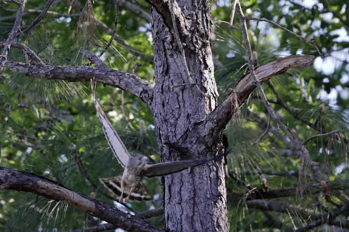 Jackson County RV Park Picture 8