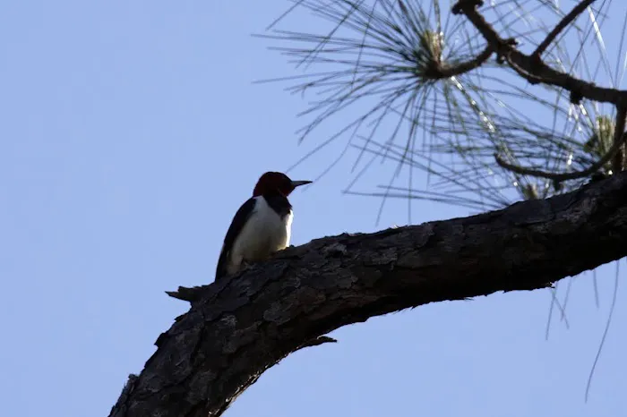 Jackson County RV Park Picture 1