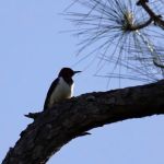 Jackson County RV Park