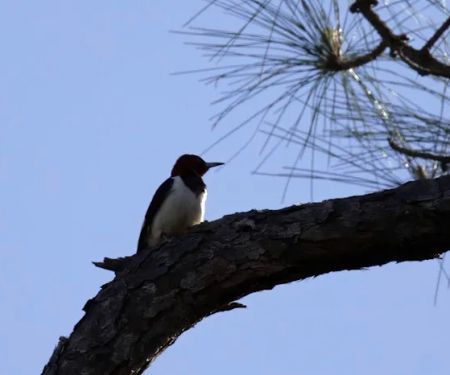 Jackson County RV Park