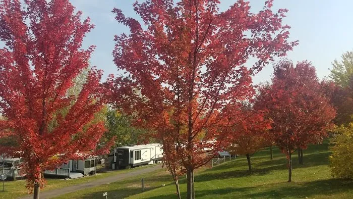 Morning Star Resort Campground Picture 3