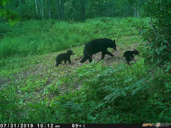 Crooked Creek Outpost, LLC Picture 2