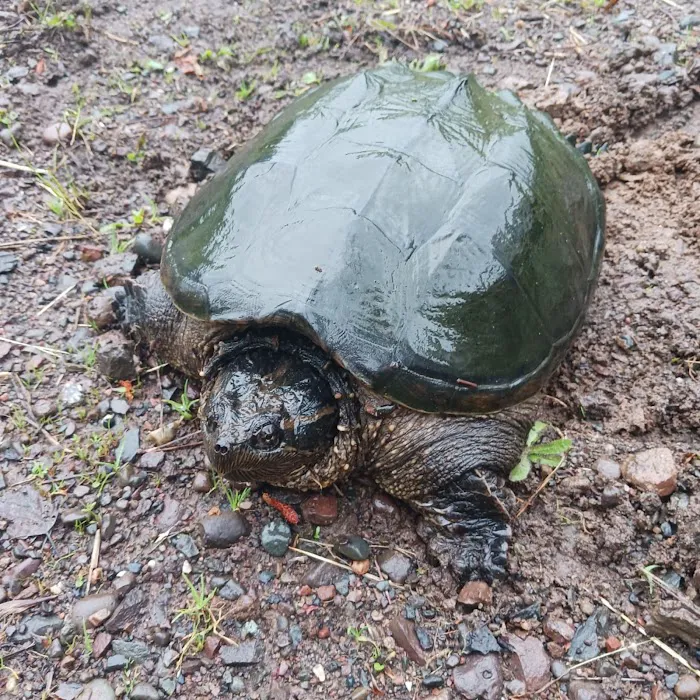 Crooked Creek Outpost, LLC Picture 4