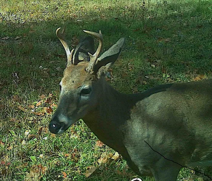 Crooked Creek Outpost, LLC Picture 3