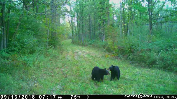 Crooked Creek Outpost, LLC Picture 1