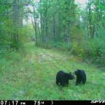 Crooked Creek Outpost, LLC