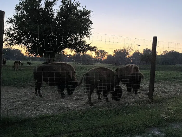 Botna Bend Park Picture 2