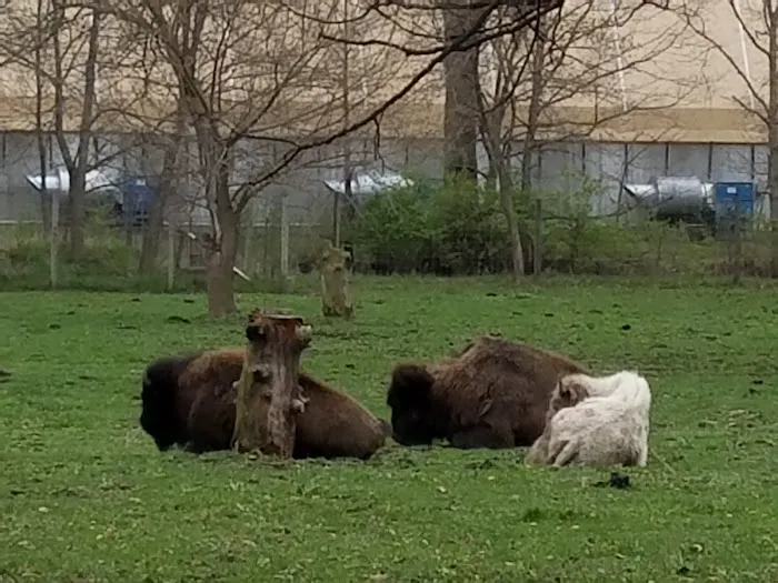 Botna Bend Park Picture 9