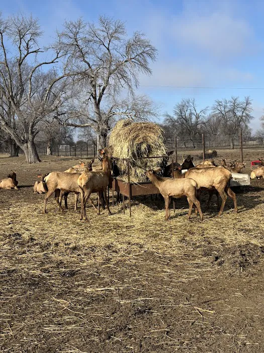 Botna Bend Park Picture 6