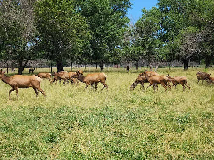 Botna Bend Park Picture 4