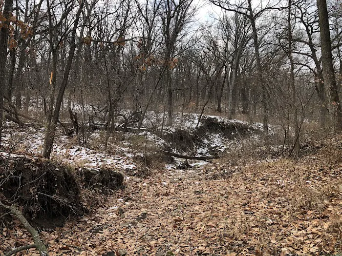 Hacklebarney Woods Equestrian Campground Picture 8