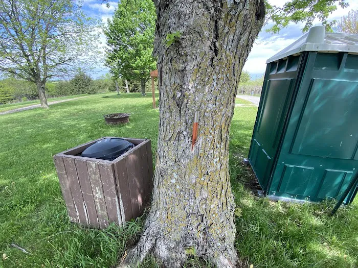 Hacklebarney Woods Equestrian Campground Picture 6