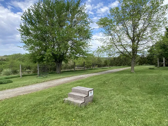 Hacklebarney Woods Equestrian Campground Picture 7