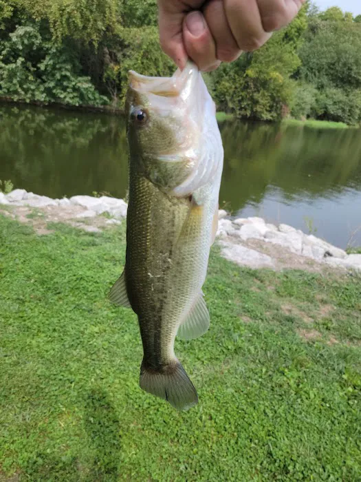 Viking Lake State Park Campground Picture 8