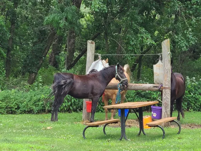 Equestrian Campground Picture 7