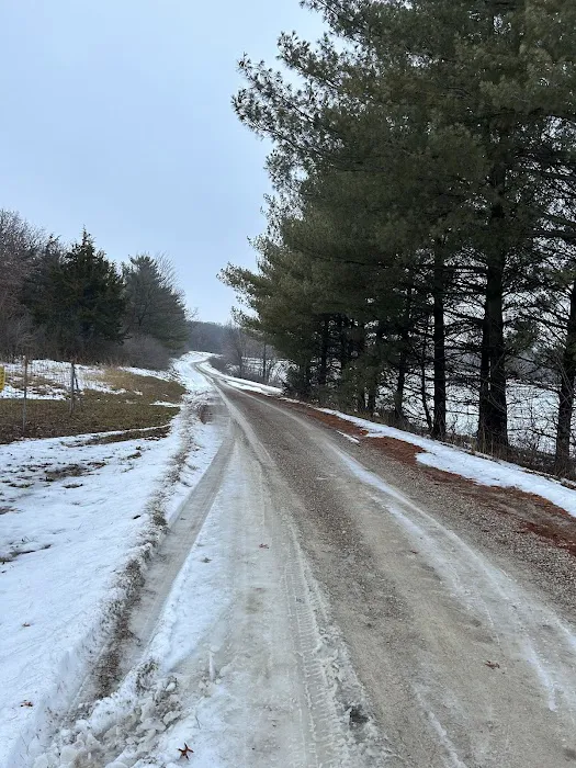 Lake Paho Campground D Picture 6