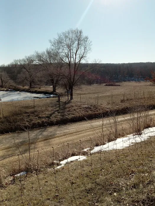 Middle of Nowhere Ranch Picture 6