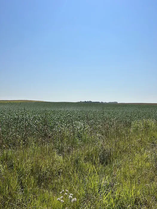 Plum Creek Campground & RV park Picture 3