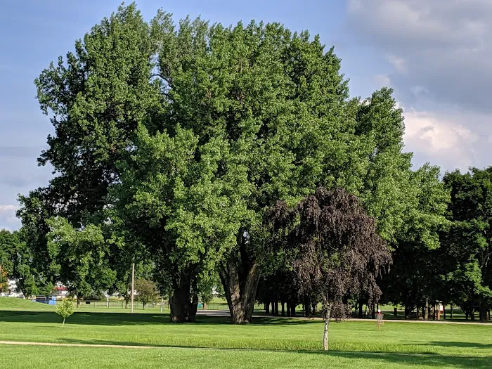 Adrian Municipal Campground Picture 4