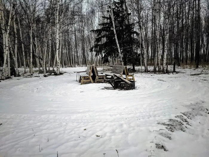 Dwight's Point Watercraft Campsite Picture 9