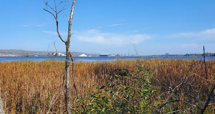 Dwight's Point Watercraft Campsite Picture 3