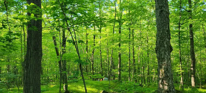 Spirit Mountain Campground Picture 1