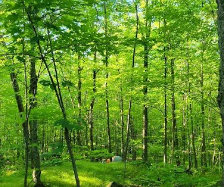 Spirit Mountain Campground