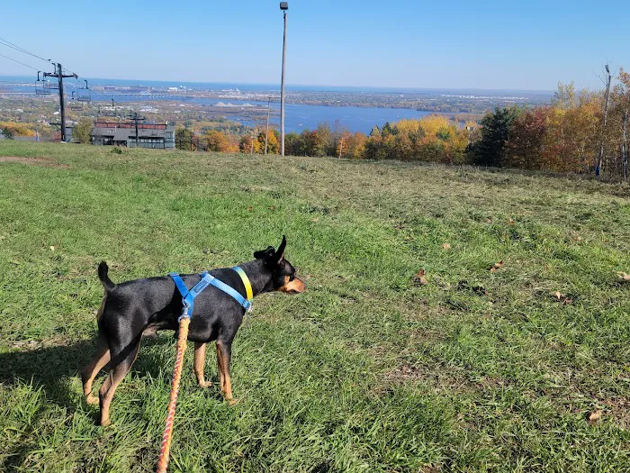 Spirit Mountain Campground Picture 6