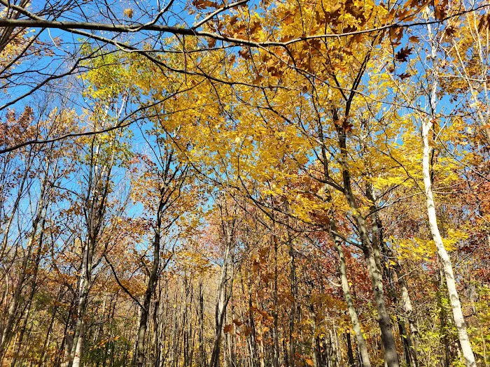 Spirit Mountain Campground Picture 4