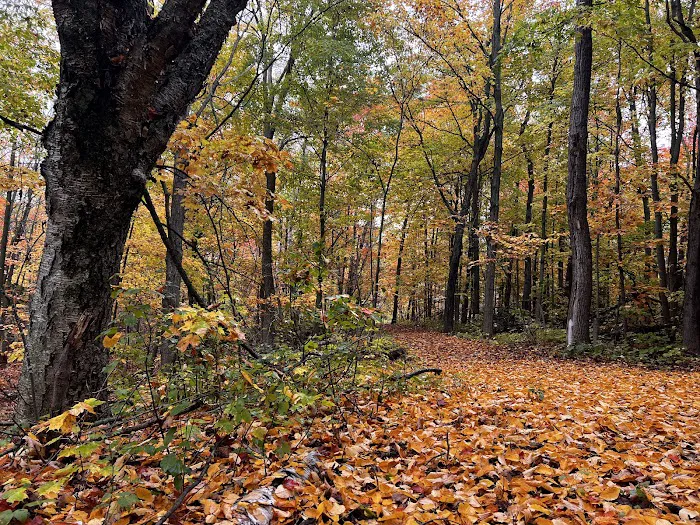 Bagley Nature Area Campground Picture 4
