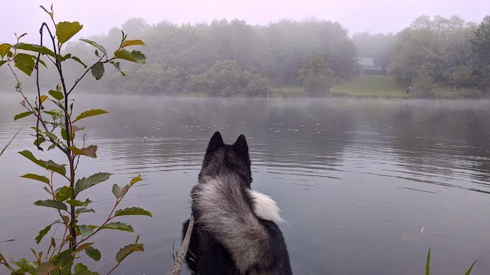 Bagley Nature Area Campground Picture 3