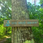 Red River Valley Campsite