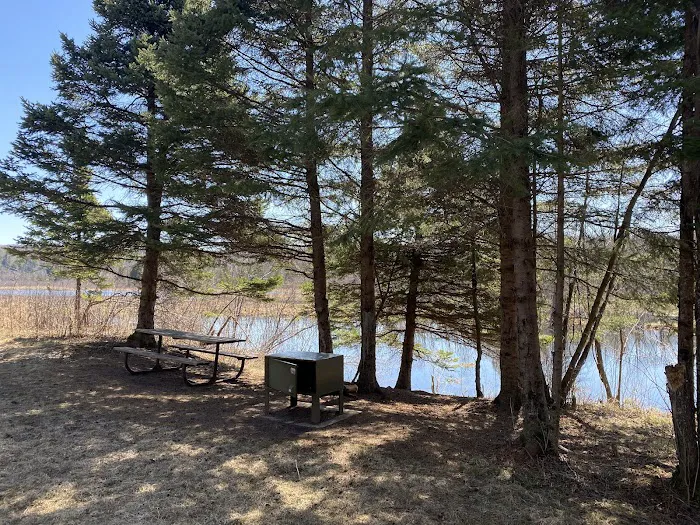 Lost Lake Campsite Picture 9